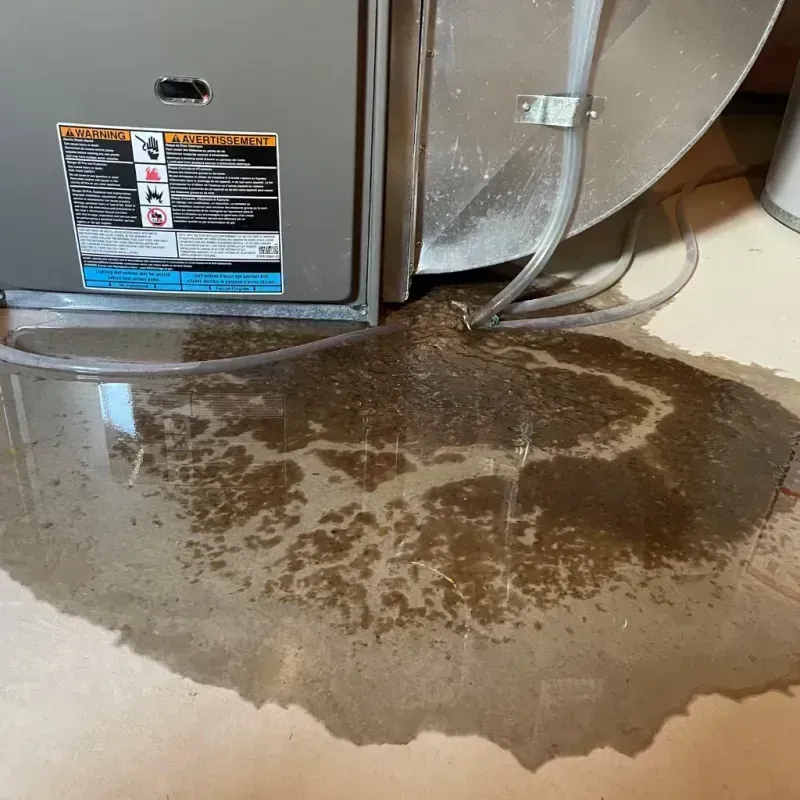 Appliance Leak Cleanup in Marion, OH